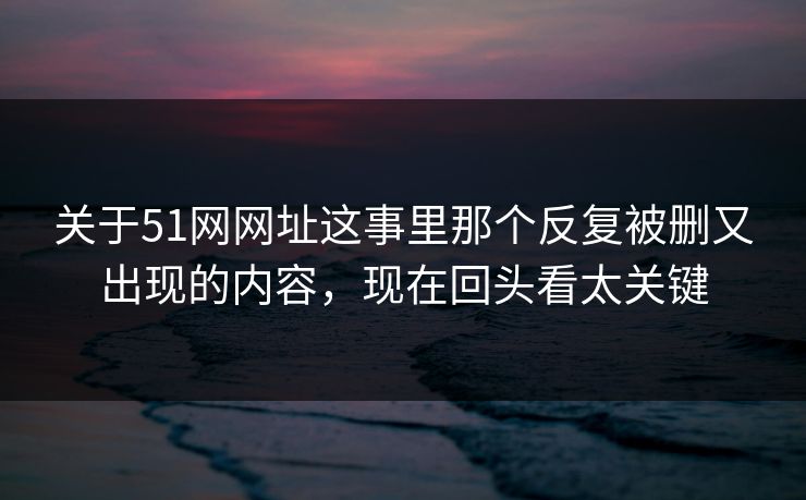 关于51网网址这事里那个反复被删又出现的内容，现在回头看太关键