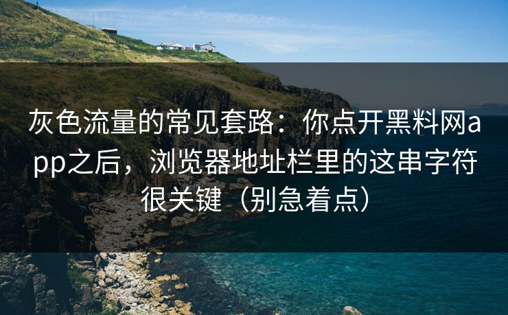 灰色流量的常见套路：你点开黑料网app之后，浏览器地址栏里的这串字符很关键（别急着点）